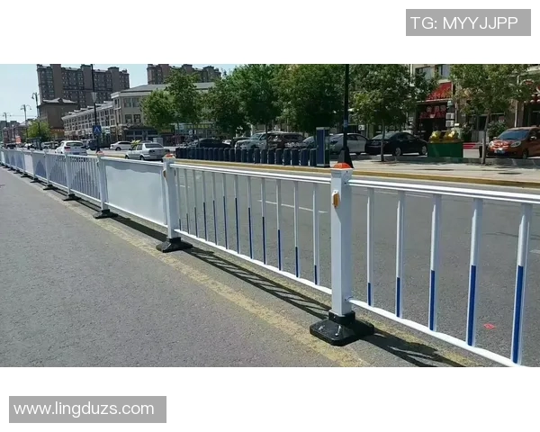 交通护栏的作用与发展趋势分析及其在城市道路安全中的重要性